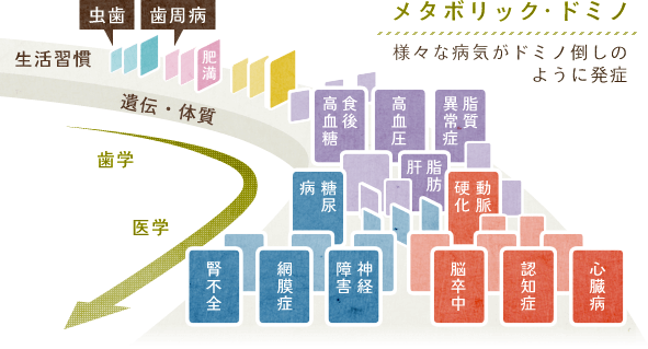 メタボリック・ドミノとは様々な病気がドミノ倒しのように発症することです